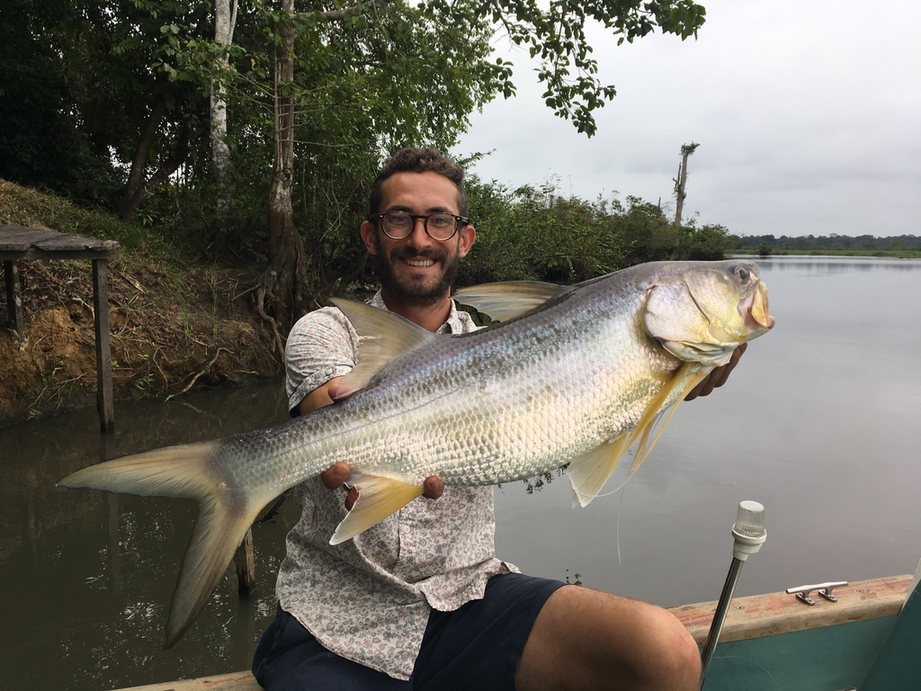 Giant African Threadfin