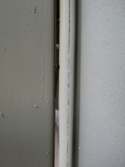 Lygodactylus chobiensis