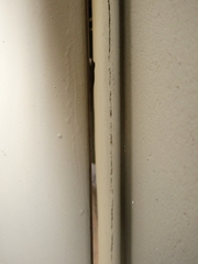 Lygodactylus chobiensis