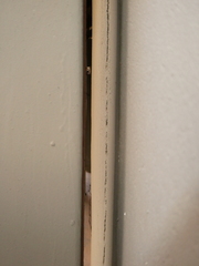 Lygodactylus chobiensis