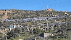 Leucocoryne coquimbensis