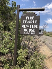 Amelanchier utahensis