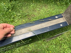 Carex longebrachiata