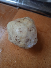 Ileodictyon cibarium