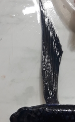 Exocoetidae