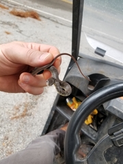 Coluber constrictor anthicus