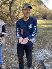 Macrobrachium americanum