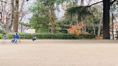 Corvus macrorhynchos