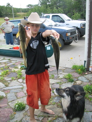 Catostomus catostomus