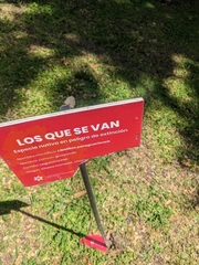 Libidibia paraguariensis