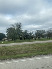 Phoradendron leucarpum