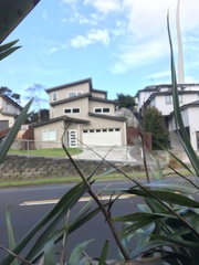 Phormium tenax