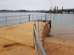 Aldrichetta forsteri