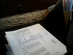 Leiobunum viridorsum