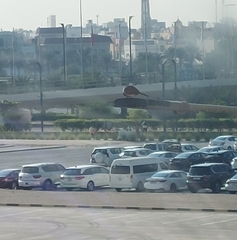 Streptopelia senegalensis