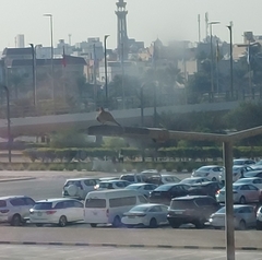 Streptopelia senegalensis