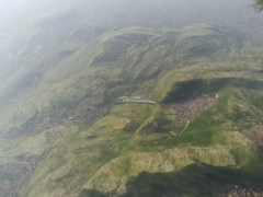 Mastacembelus armatus