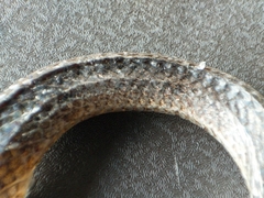 Atractus