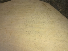 Bambusa stenostachya