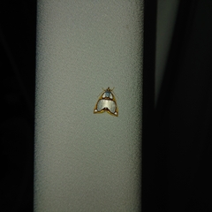 Titulcia confictella