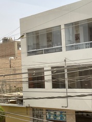 Tyrannus melancholicus