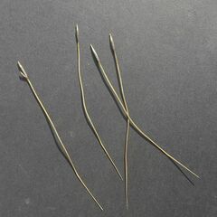 Austrostipa pubescens