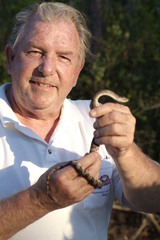 Pituophis melanoleucus mugitus