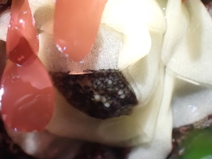 Onchidoris bilamellata