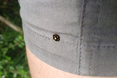 Coccinella leonina