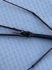 Parabacillus hesperus