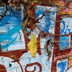 Prunus amygdalus