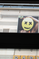 Ptyonoprogne fuligula