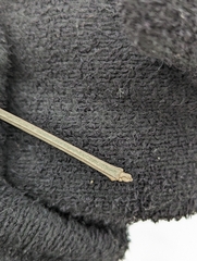 Fraxinus quadrangulata