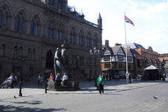 Columba livia domestica
