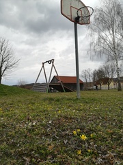 Ficaria verna calthifolia