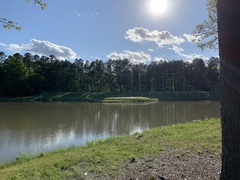 Chasmanthium latifolium
