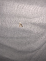 Evergestis rimosalis