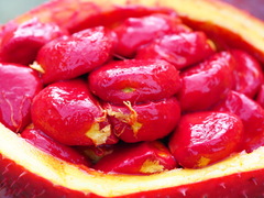 Momordica cochinchinensis