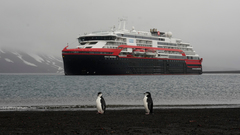 Pygoscelis antarcticus