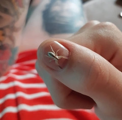 Arachosia praesignis