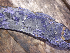 Terana