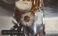 Tricholoma manzanitae