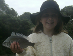 Acanthopagrus butcheri