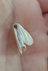 Rupela