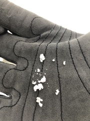 Cryptococcus fagisuga