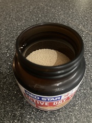 Saccharomyces cerevisiae