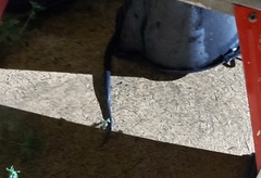 Cryptophis nigrescens