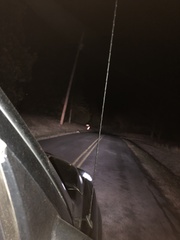 Didelphis virginiana