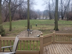 Cardinalis cardinalis