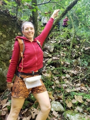 Equisetum myriochaetum